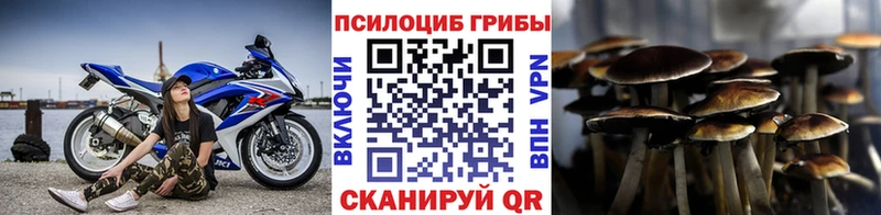 где можно купить Челябинск Галлюциногенные грибы GOLDEN TEACHER